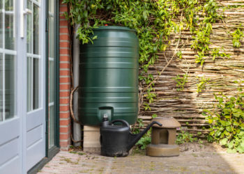 Regentonnen & Wasserspeicher: Diese Modelle gelten als empfehlenswert