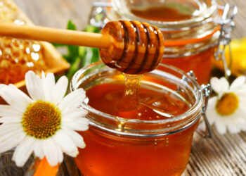 Honig: Süßes aus dem Bienenstock