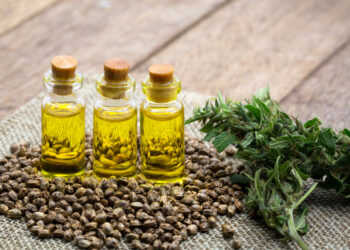 Heilpflanzen: Die gesundheitlichen Vorteile von CBD