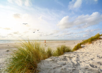 Urlaub in Dänemark: Ferien für Herz und Seele