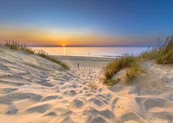 Warum einen Urlaub in Zoutelande wählen? 5 Gründe, warum Sie dieses Jahr Zeeland wählen sollten